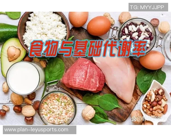 适量运动如何影响人体代谢率及其健康益处探讨 适量运动如何影响人体代谢率及其健康益处探讨